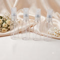 spray bottle (empty)